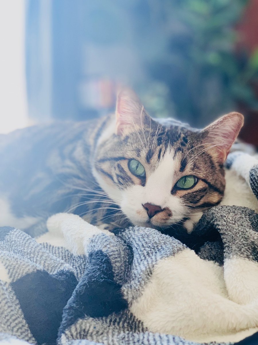 SuchALittleMonster tweet media