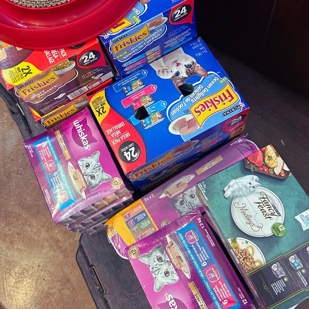 cahumanesociety's tweet photo. We appreciate our community so much!💗
Last week we made a post calling for wet cat & kitten food for our felines in care. We are overwhelmed by the incredible response! We can't thank you enough! 👏#CAHumane #CAHumaneCommunity
1/3 https://t.co/vBGSgU4ndI