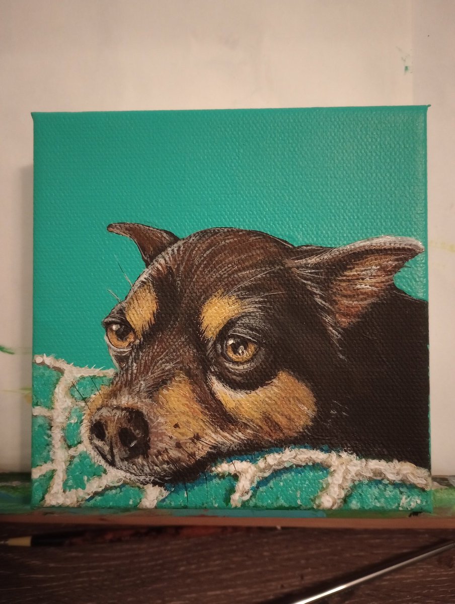 ksneathart's tweet photo. I can now share my latest finished dog portrait as he has been gifted. This is Marshall. Such a cutie. Thank you to my friend for asking me to paint him as a gift to her sister. 💗💗💝 #dogpainting #rescuedog #petportrait #cutedog #californiadog https://t.co/K5zmhRHBXX