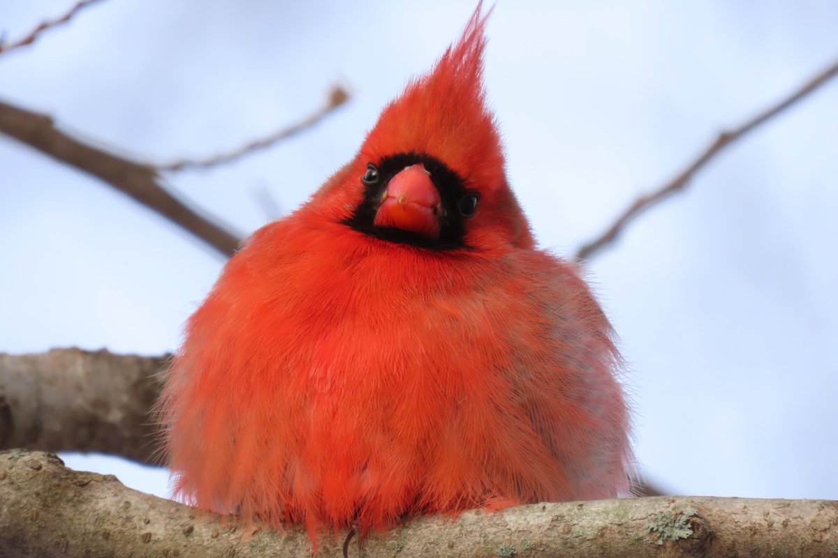 Just smile, Lenny tweet media