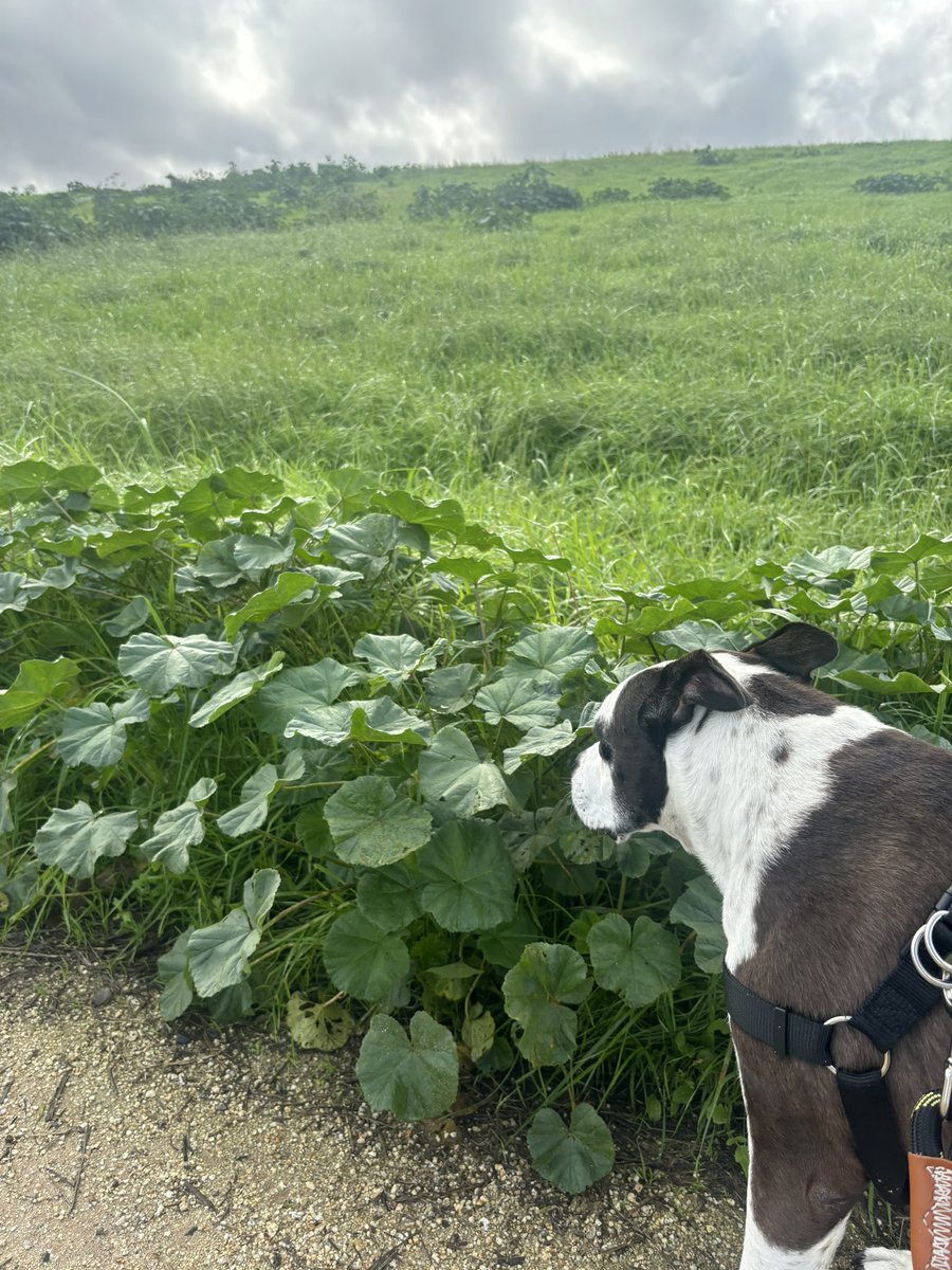 Irene 👹 tweet media