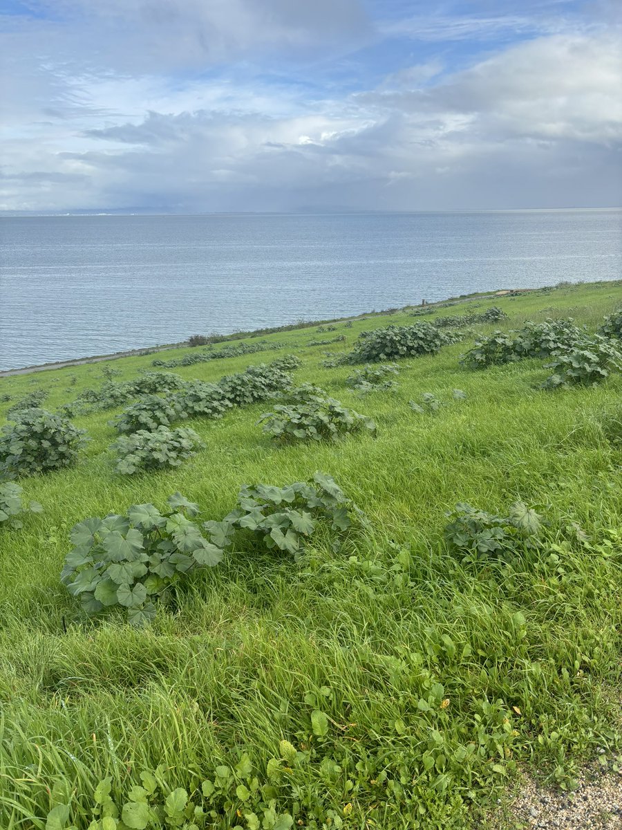 Irene 👹 tweet media