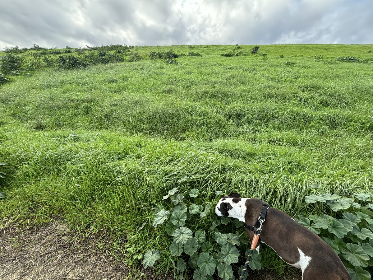 Irene 👹 tweet media