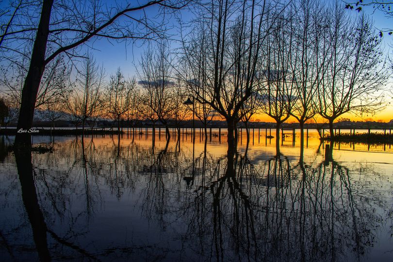 Home to a stunning landscape that becomes more pronounced at sunset, Pateira de Fermentelos is the largest natural lagoon on the #IberianPeninsula, a paradise of biodiversity, home to over 150 species of birds and a handful of romantic corners. #PateiradeFermentelos