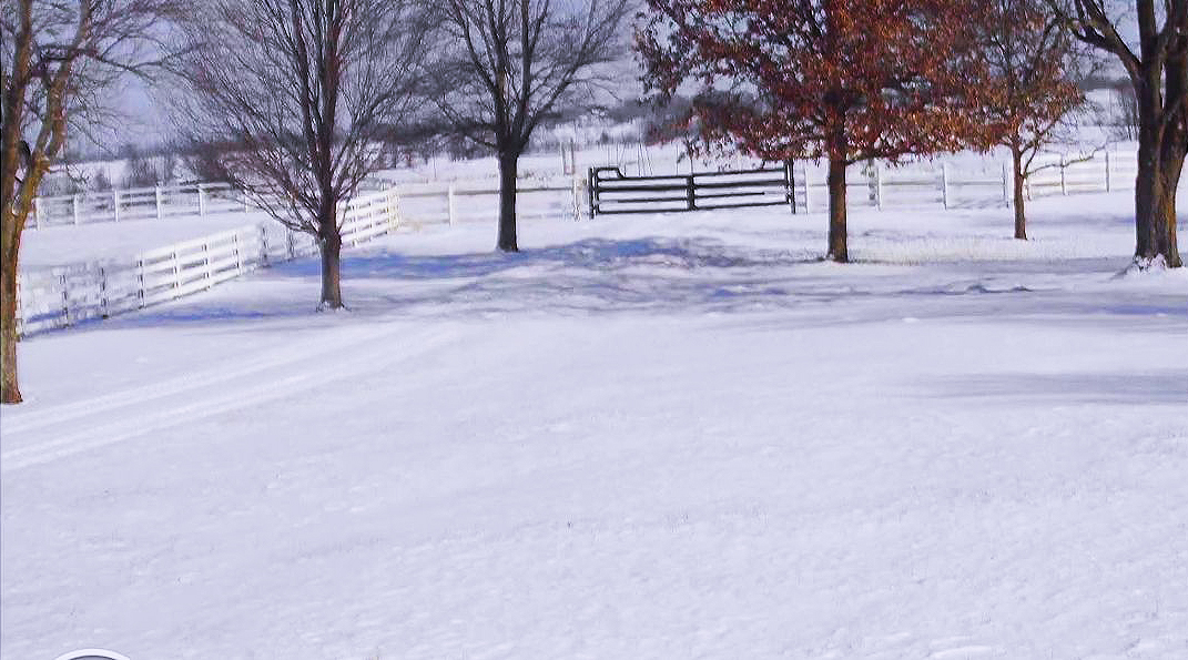 Rick Dees tweet media