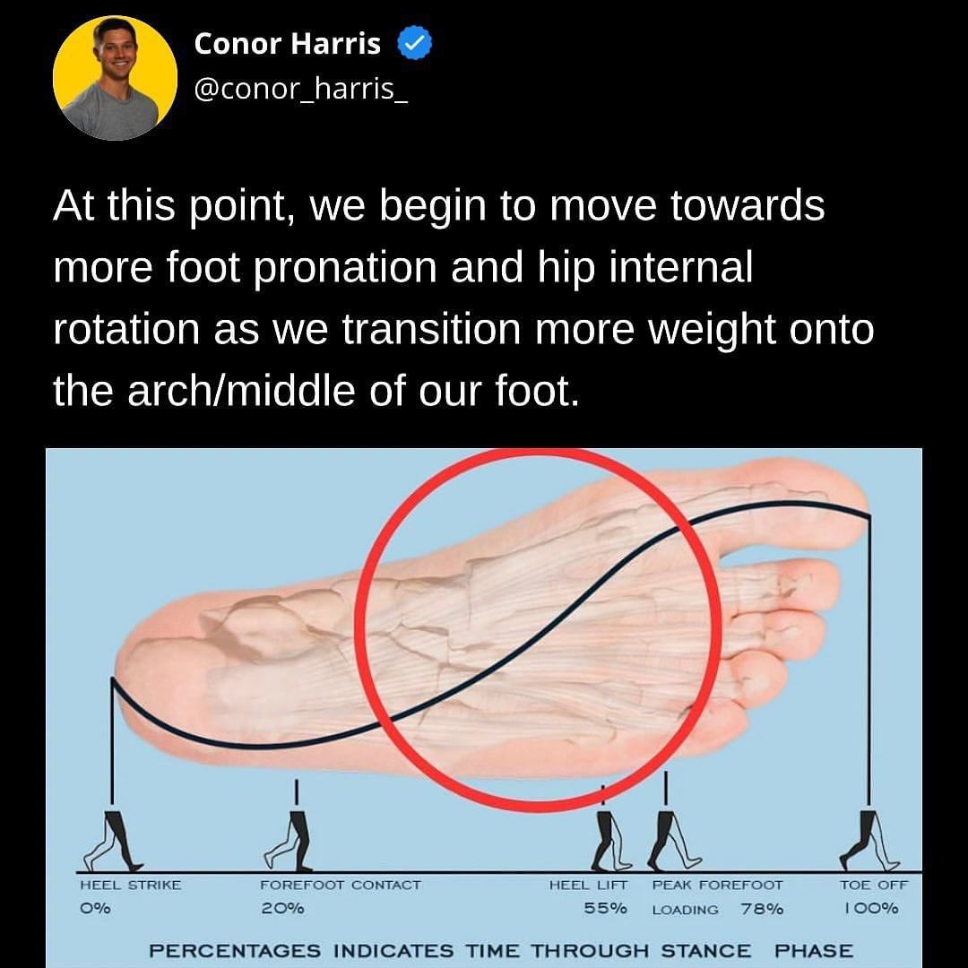Conor_Harris_'s tweet photo. https://t.co/iMYRRhNcJi