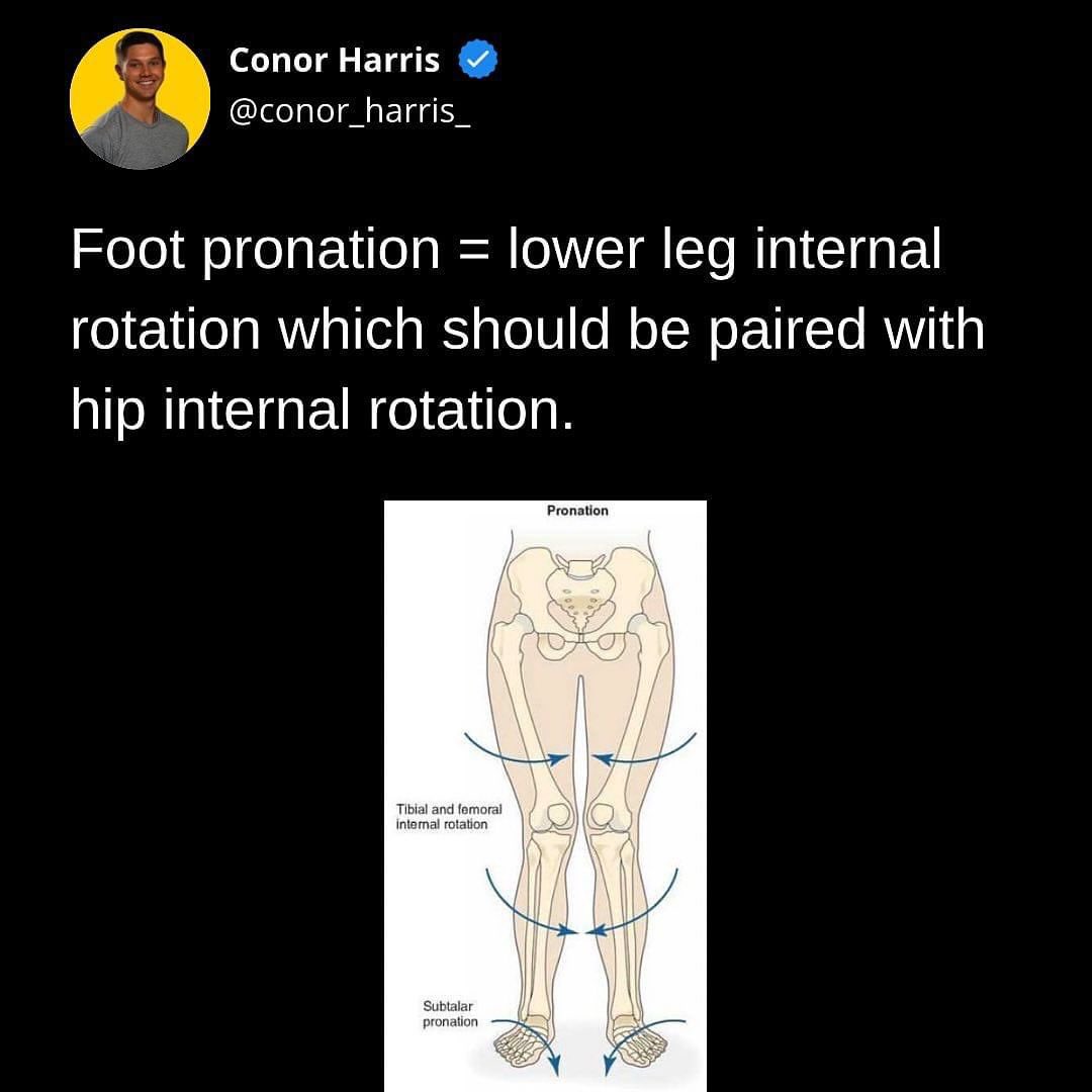 Conor_Harris_'s tweet photo. https://t.co/Jbclsa11OK