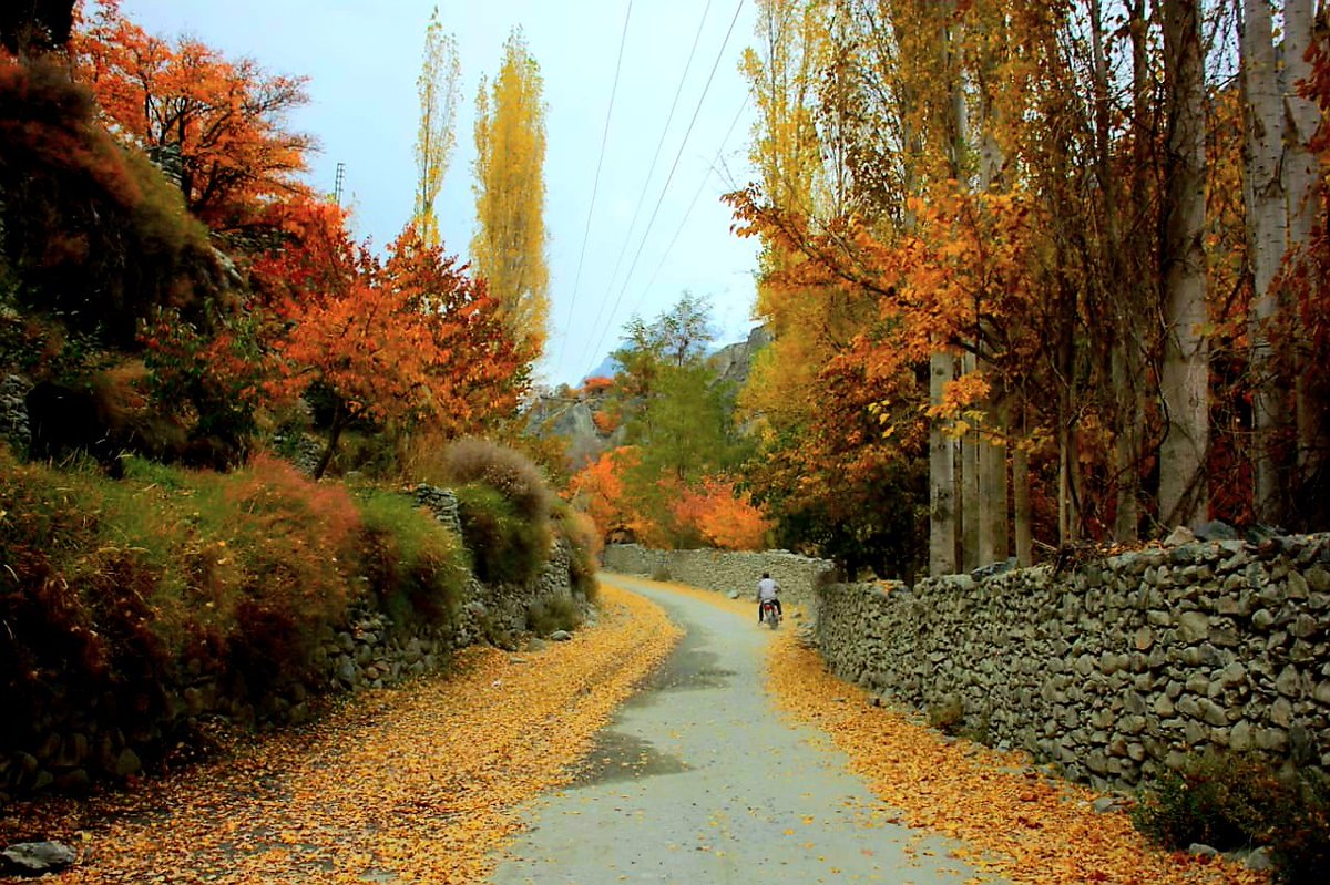bagrotevalleygb's tweet photo. Golden Beauty of Bagrote Valley..❣️
#BagroteValley
#Beauty #Nature #Pakistan #Gilgit_Baltistan #Bagrote_Valley_Gilgit #Beautiful_Pakistan https://t.co/ebm6wxnHFF