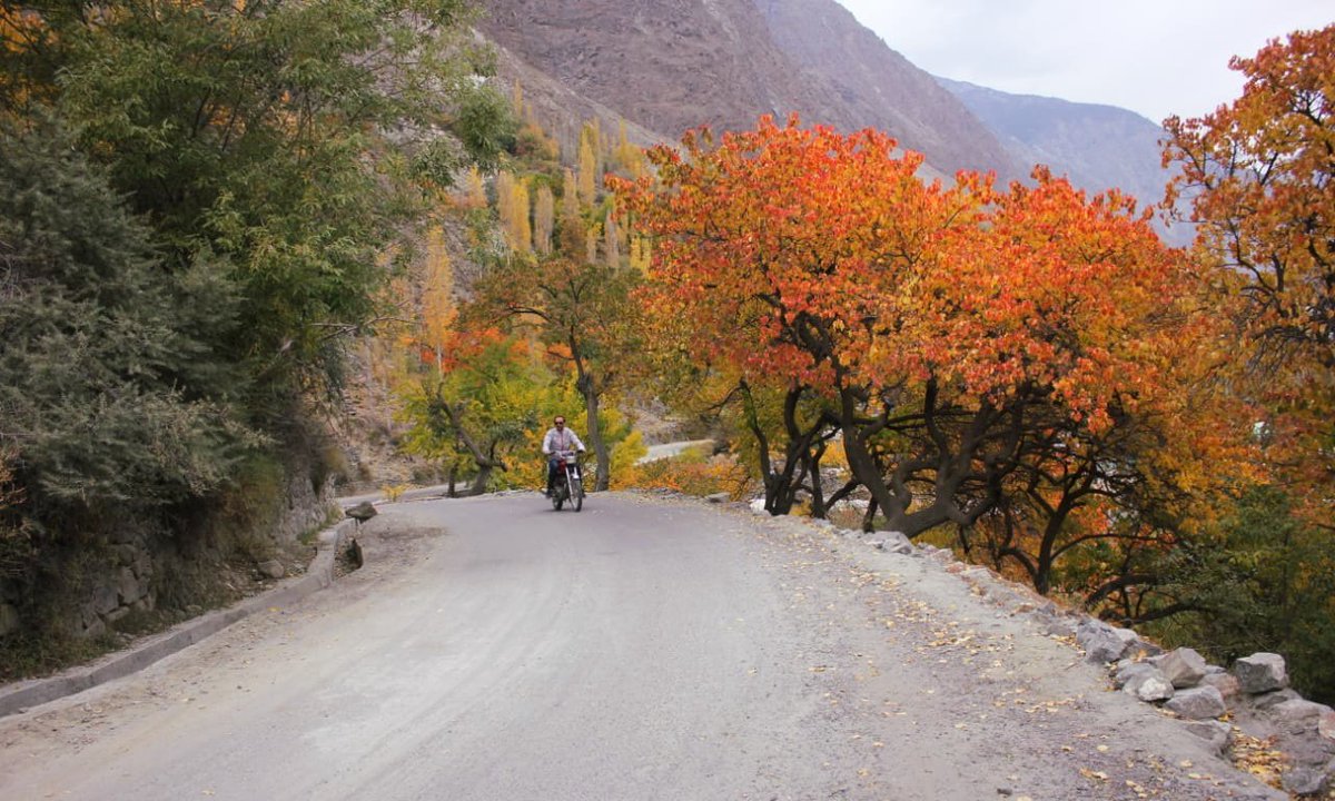 bagrotevalleygb's tweet photo. Golden Beauty of Bagrote Valley..❣️
#BagroteValley
#Beauty #Nature #Pakistan #Gilgit_Baltistan #Bagrote_Valley_Gilgit #Beautiful_Pakistan https://t.co/ebm6wxnHFF