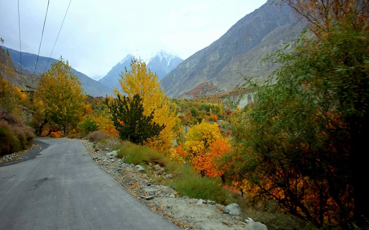 Golden Beauty of Bagrote Valley..❣️

#BagroteValley
#Beauty #Nature #Pakistan #Gilgit_Baltistan #Bagrote_Valley_Gilgit #Beautiful_Pakistan