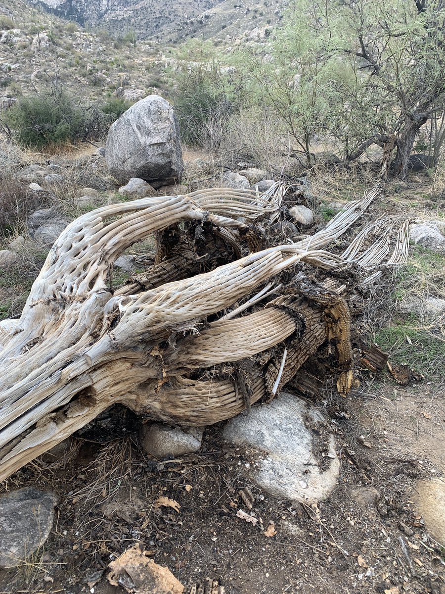 John Take tweet media