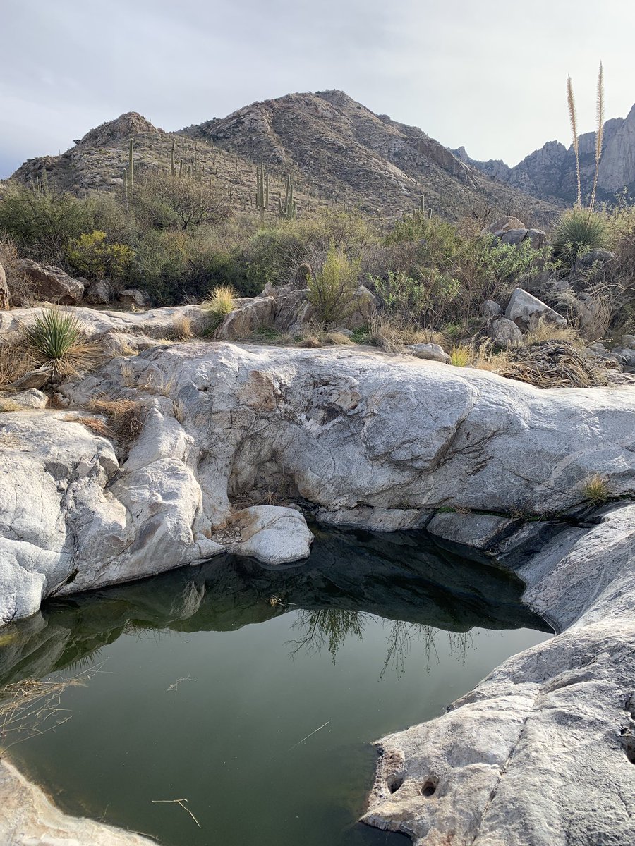 John Take tweet media