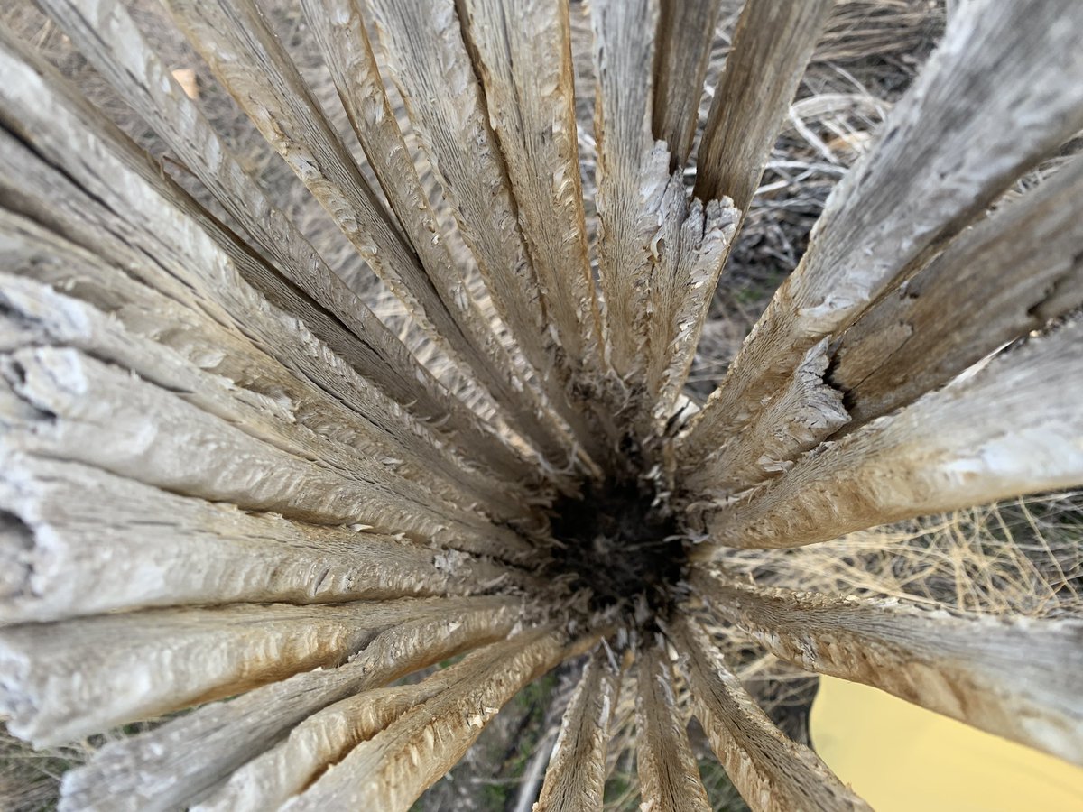 John Take tweet media