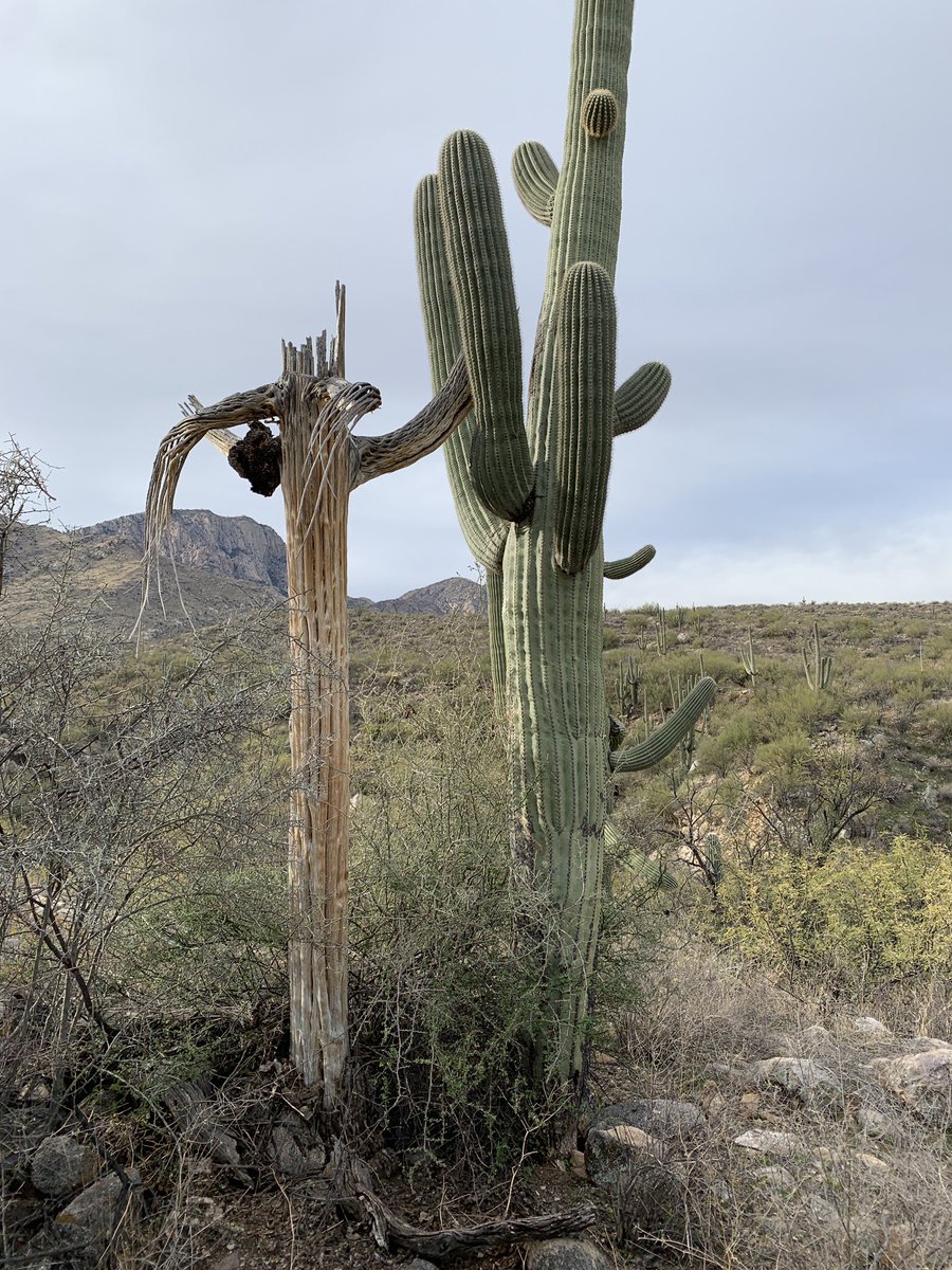 John Take tweet media