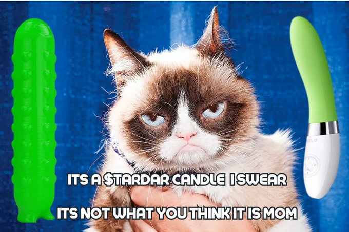 CandleKn1ght's tweet photo. @level941 Try $TARDAR GRUMPY CAT

#GRUMPY4LIFE
https://t.co/a75vppVbJj https://t.co/44a3gqK4bf