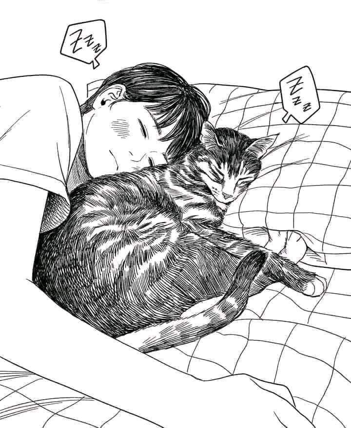 bakaneko (@paradox_xdxd) on Twitter photo 