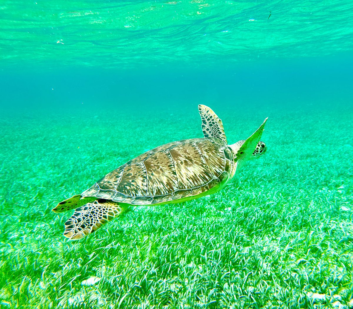 Tim Sackett SCP,SPHR tweet media