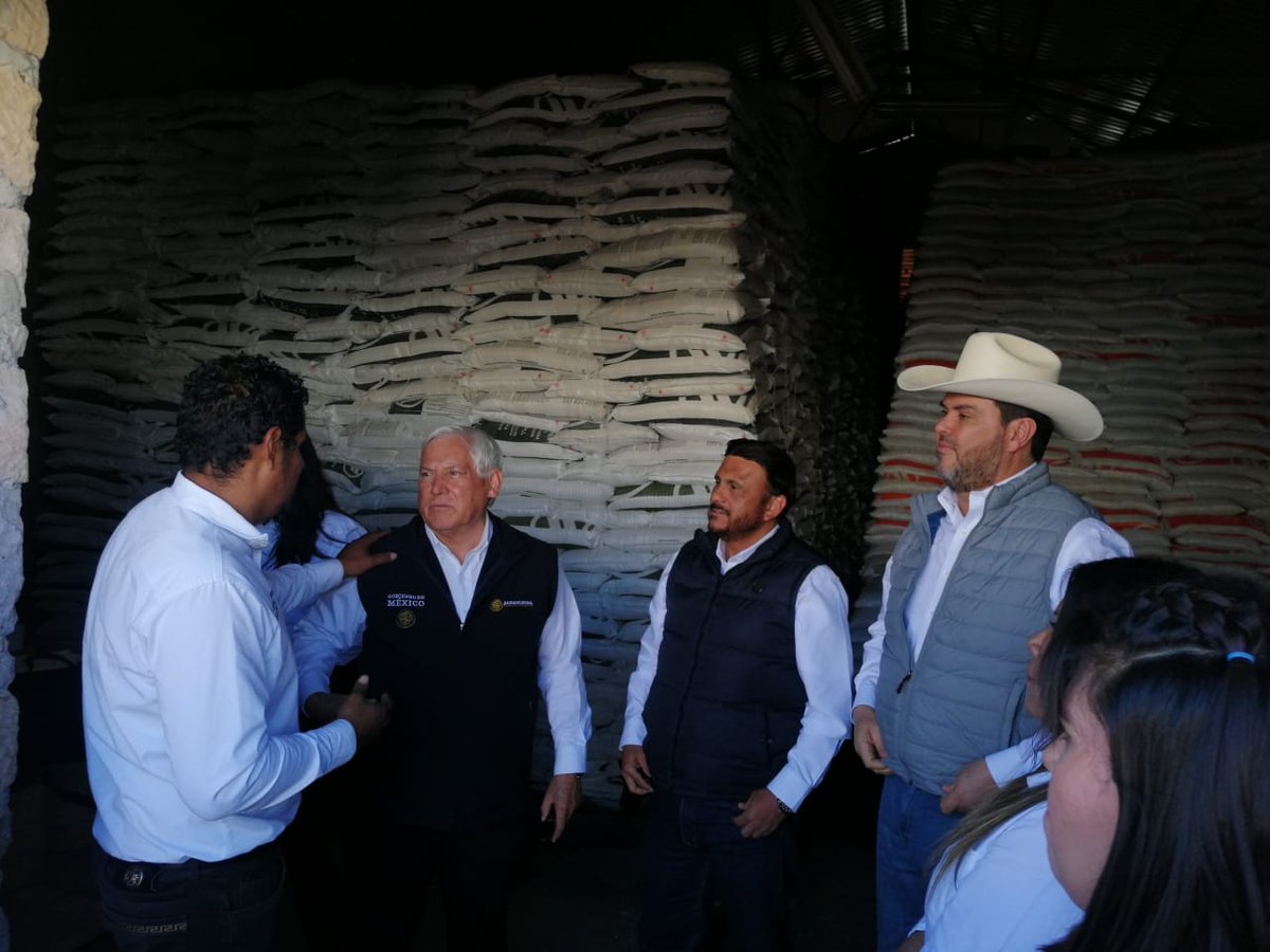 Agricultura_mex's tweet photo. En #Durango se anuncia el inicio de la entrega de insumos del programa #FertilizantesParaElBienestar.

En #2024, se entregarán 24 mil toneladas de fertilizantes a 40 mil 200 productores y productoras de la entidad, beneficiando 78 mil hectáreas.
#HéroesDeLaAlimentación https://t.co/Kv4a0cxePL