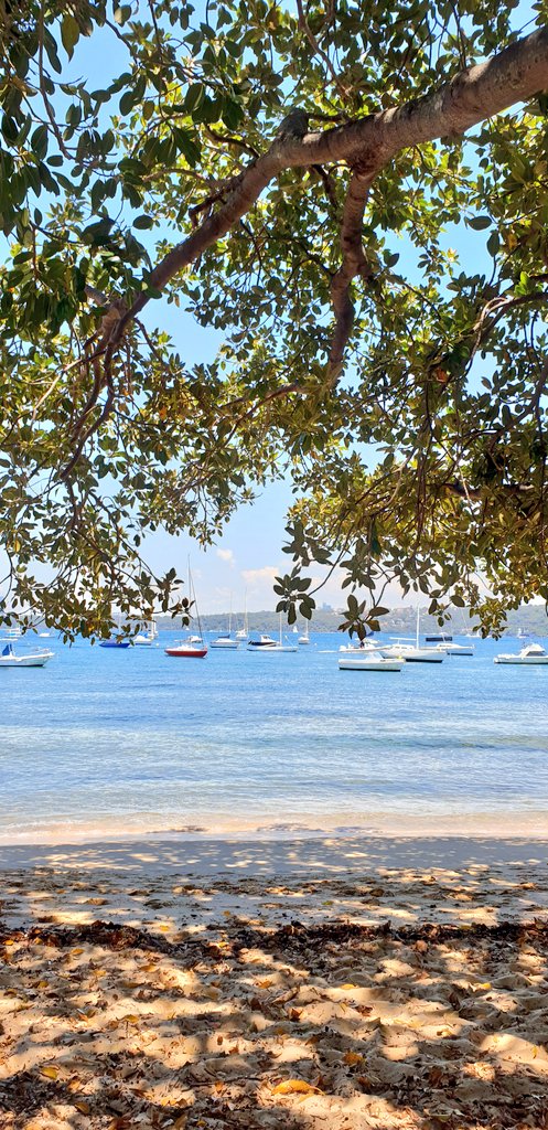 PeterCa85704183's tweet photo. @danitahamel Time stood still and stopped for a moment whilst sitting here overlooking the calm water. #still #stillness #timestopped #calm #water #beach https://t.co/DnMWIjZftF