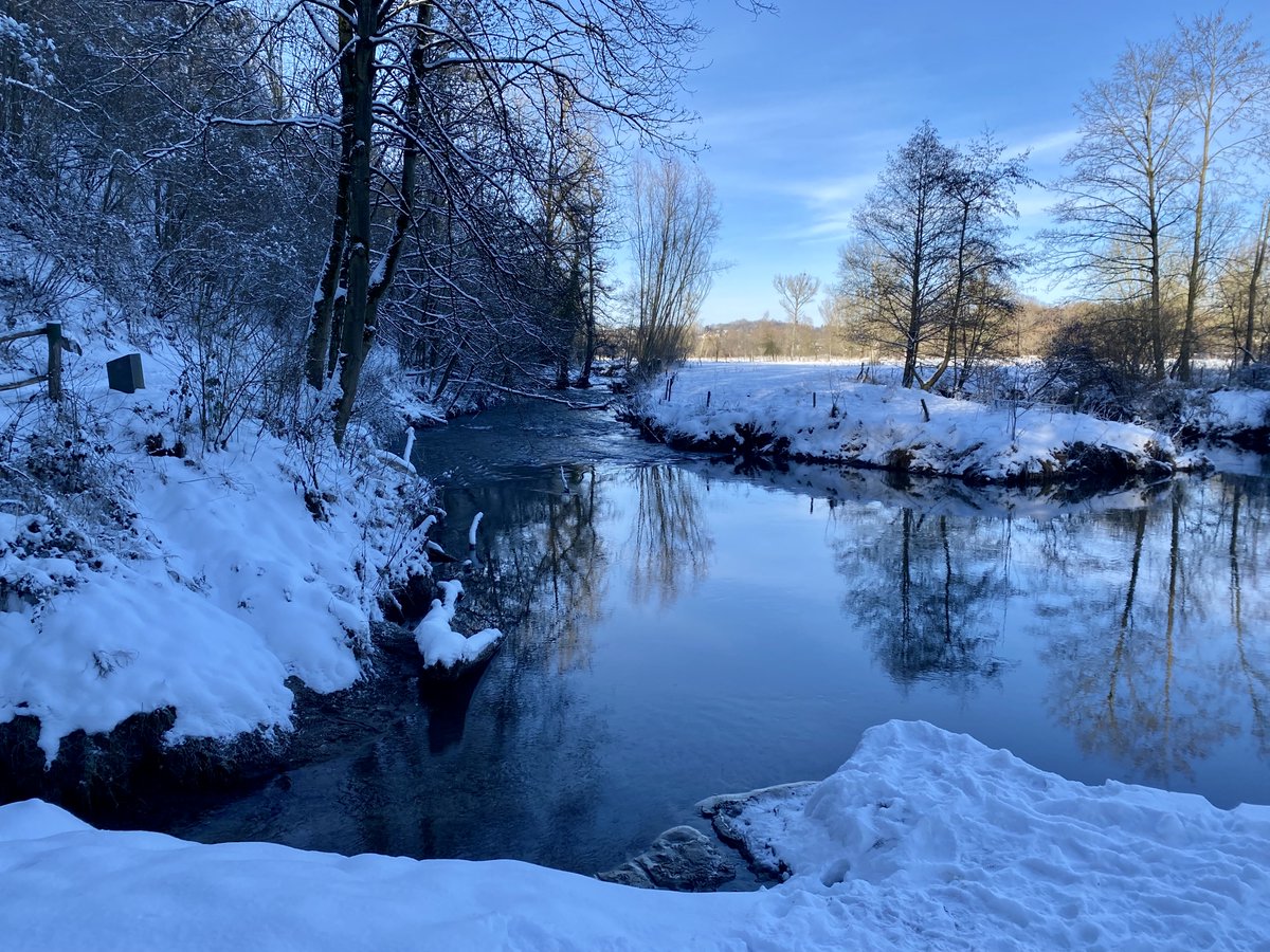 forgottenfield's tweet image. The winter water slow—
Like oil through the snow.