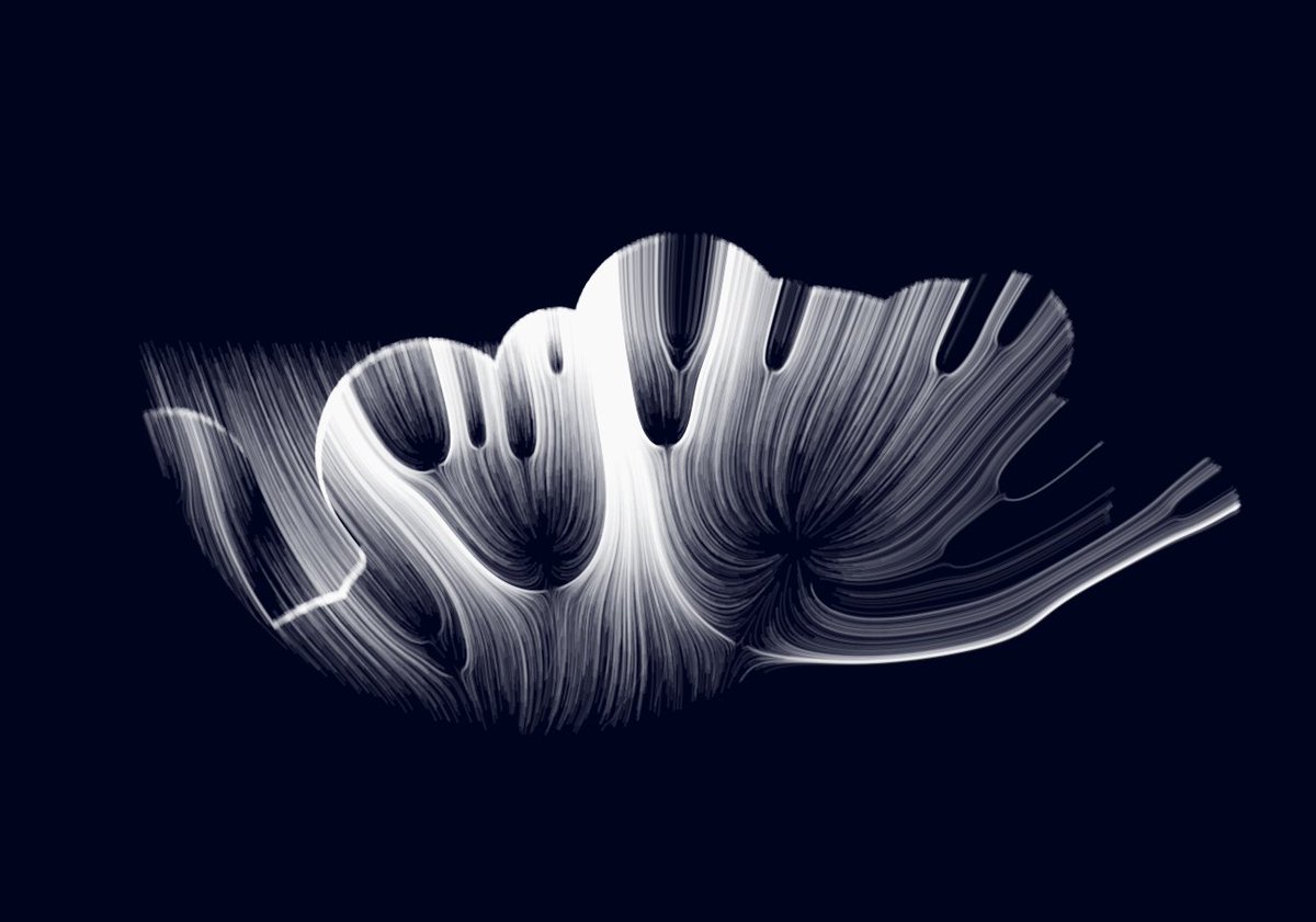 terakiart's tweet photo. GENERATIVE SPIRITS @trygamma
https://t.co/0nMIvuA2va
#NFTs #ordinals #NFT #p5js #Bitcoin #ordinalnfts #hirowallet #generativeart #genart #stx https://t.co/m2ZQZ9btBa