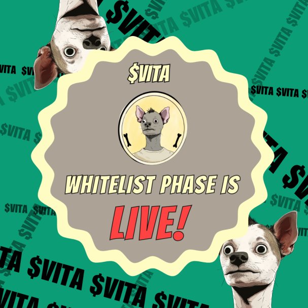 $VITA 🦴 tweet media