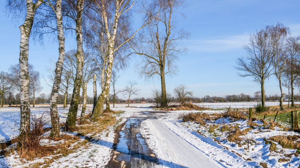 joshebben's tweet photo. Nog even genieten van het winterweer maar de dooi is ingezet #Weert #Stramproy @weeronline @Weerplaza @Talpaweer @BuienRadarNL @MeteoLimburg @MeteoVoorne @WNLVandaag https://t.co/Ff9CZBDEaf