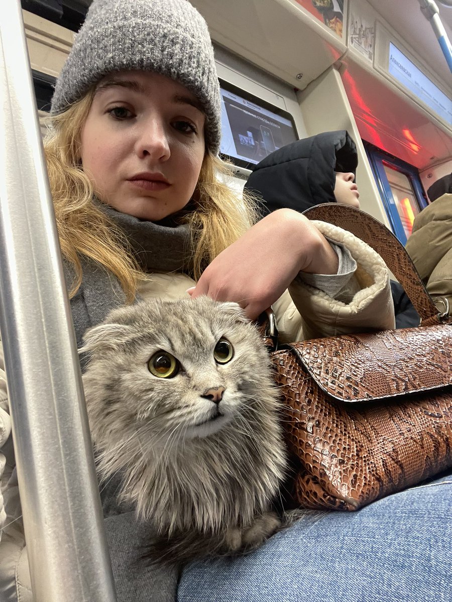 olya_lomakina11's tweet photo. Умиляем всех в метро, везу в передержку. Если кто-то хочет забрать, пишите, я не знаю, что делать, но мимо пройти не могу https://t.co/MakNpYp2pg