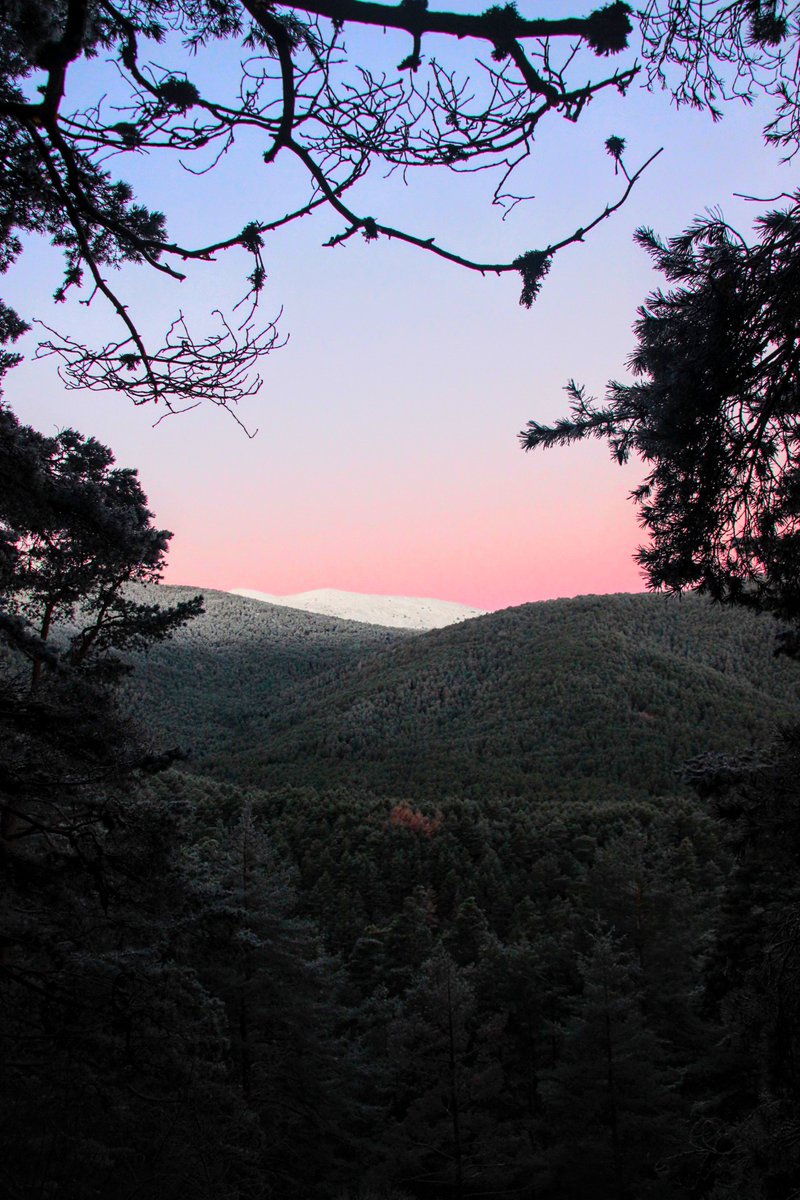 svendirai's tweet photo. ↠

María Zambrano,
el nacimiento del color
y el ejemplo del mismo
en el amanecer de hoy
en el Valle de Valsaín,
Guadarrama.

❝ El color
nace del fuego que hay en la luz,
del agua que hay en el aire,
de la tierra que absorbe fuego y agua
y los guarda en su oscuridad...❞ ⬇️

↞ https://t.co/FYosRRmAHY