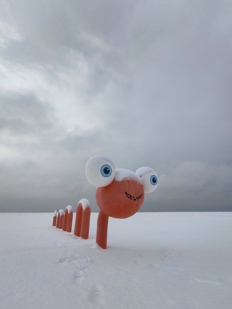 Aizgāju līdz jūrai!