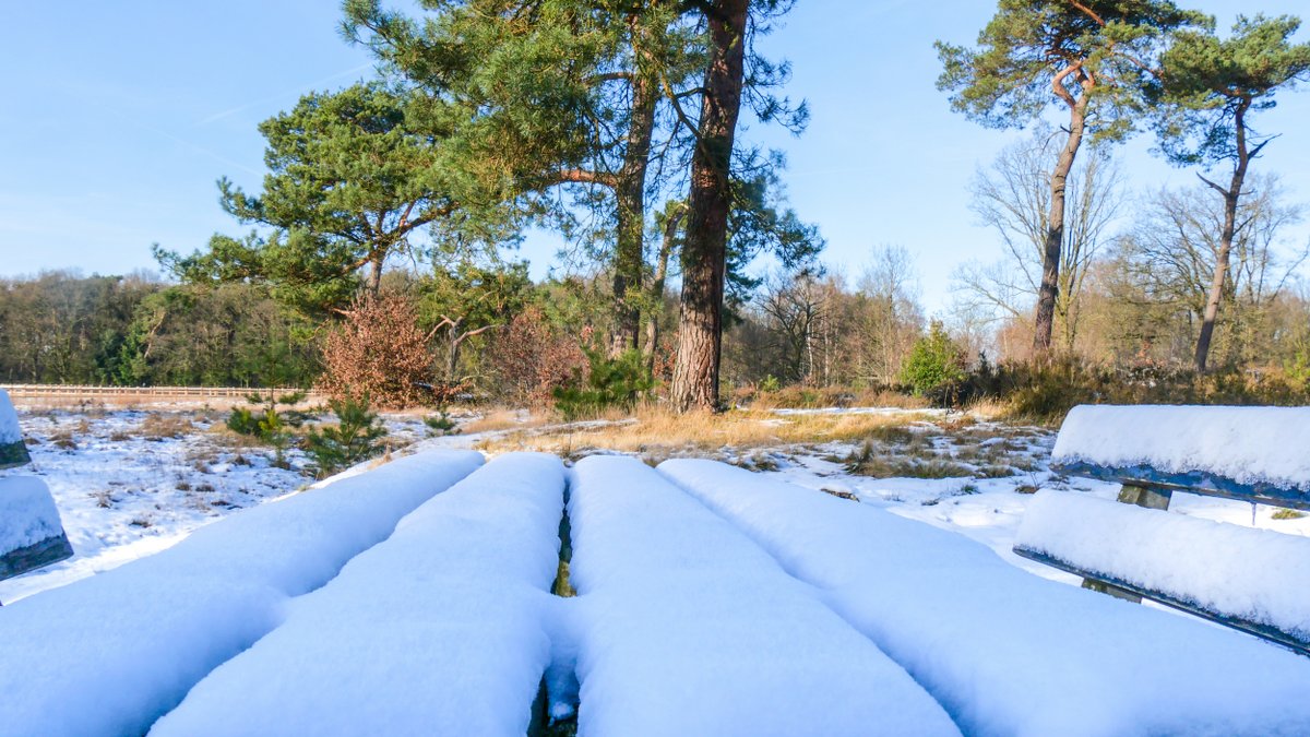 joshebben's tweet photo. Nog even genieten van het winterweer maar de dooi is ingezet #Weert #Stramproy @weeronline @Weerplaza @Talpaweer @BuienRadarNL @MeteoLimburg @MeteoVoorne @WNLVandaag https://t.co/Ff9CZBDEaf