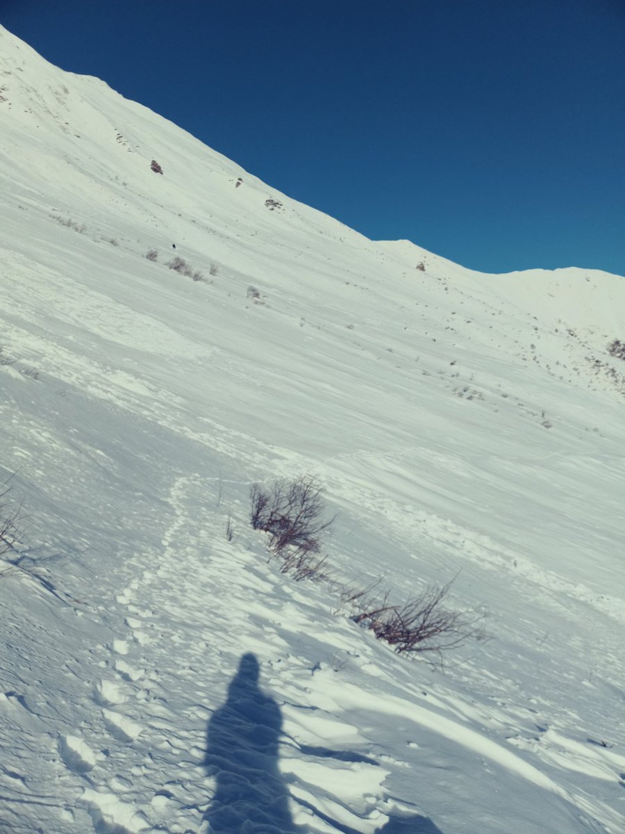lubon72's tweet photo. Quattro passi in compagnia alla malga Campello di Nazio, sui monti di Malonno nelle Orobie bresciane: in quota tanta neve in una zona panoramica ma escursionisticamente poco frequentata. https://t.co/eThnUFduEN