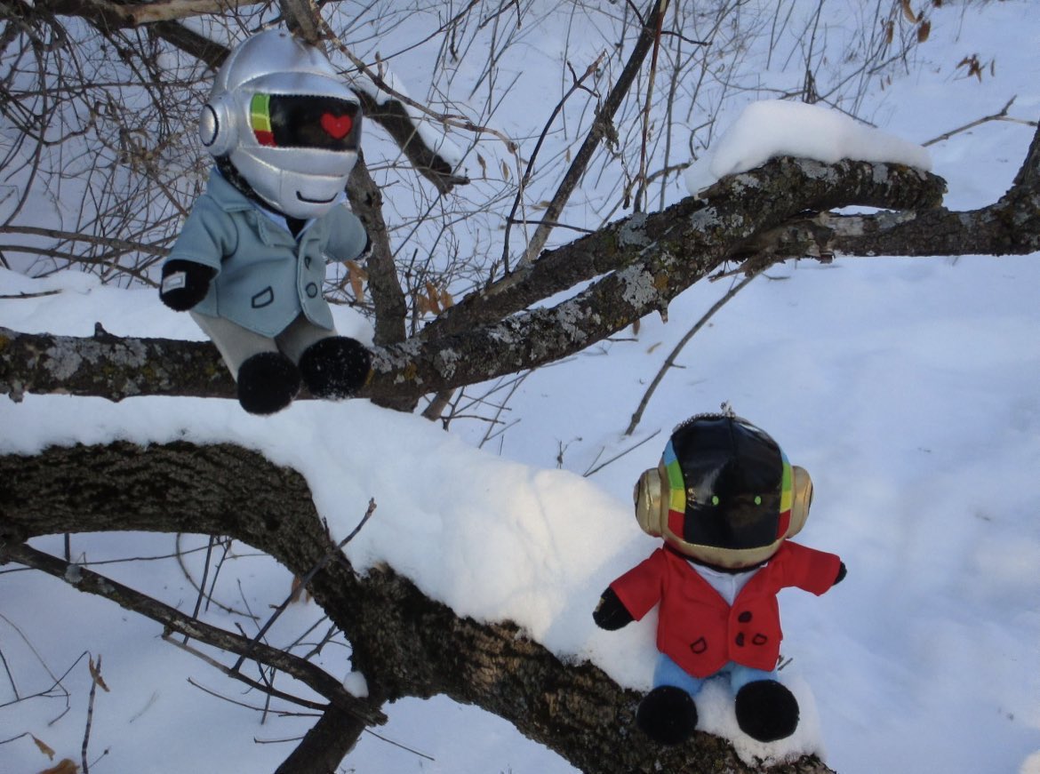 Artie 🍉 Plush Auction!! tweet media