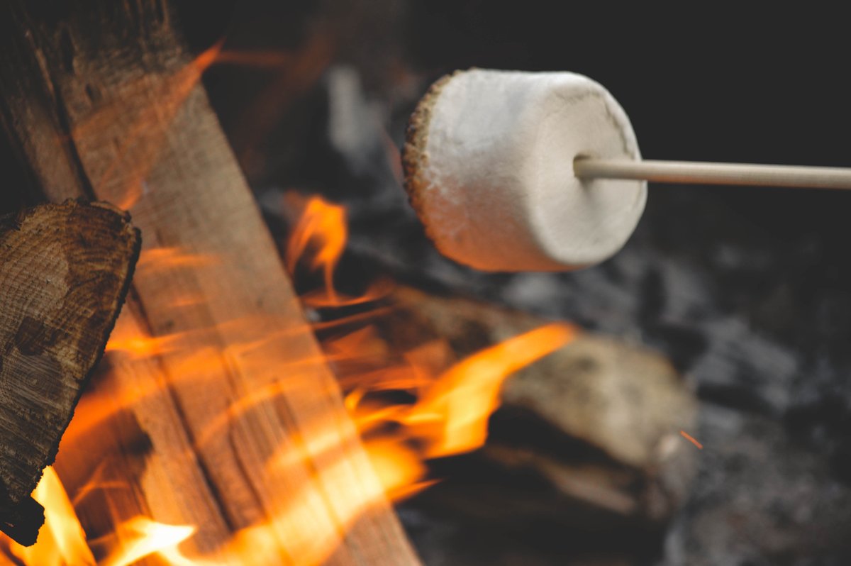 Yoho National Park tweet media