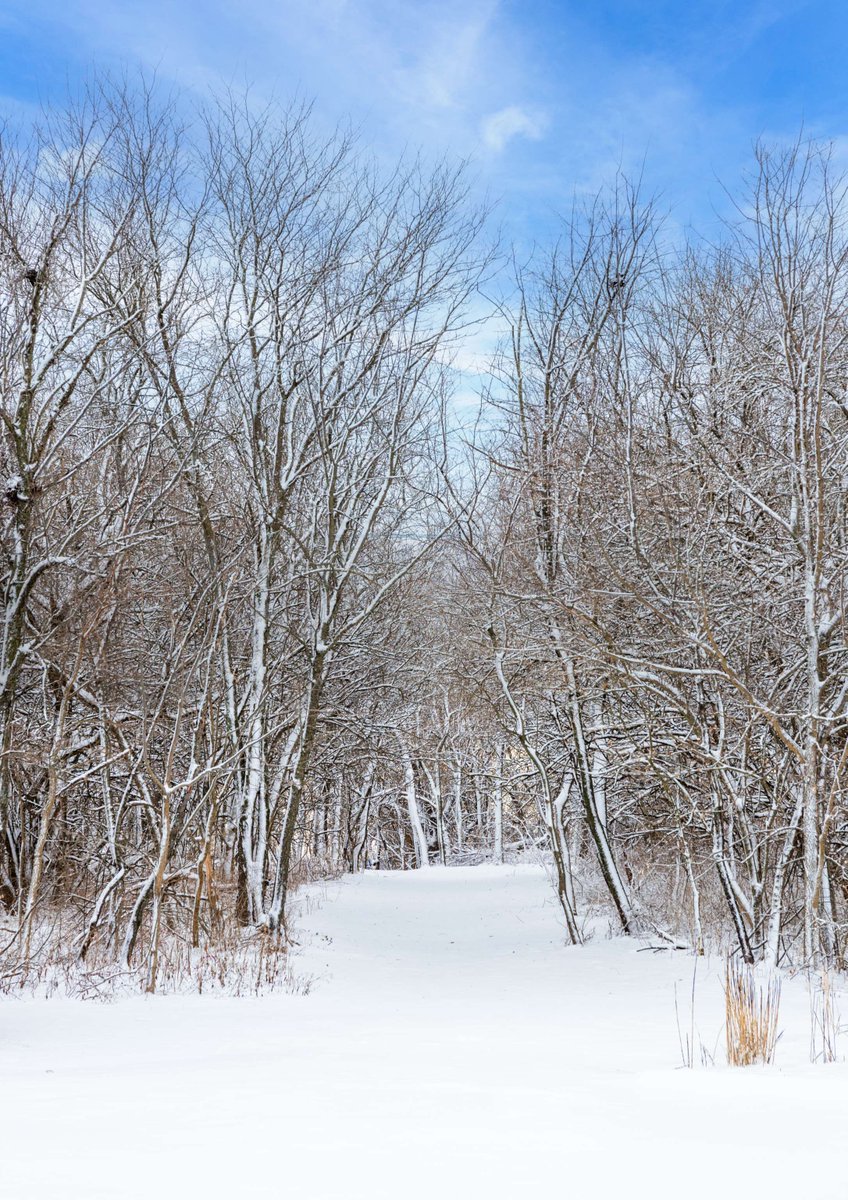 ❄️Grab your gear, play, explore, and make memories in this winter at Mozingo Lake Recreation Park! ❄️
