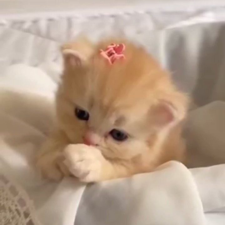 เทสที่สร้าง                                            ร่างที่เป็น