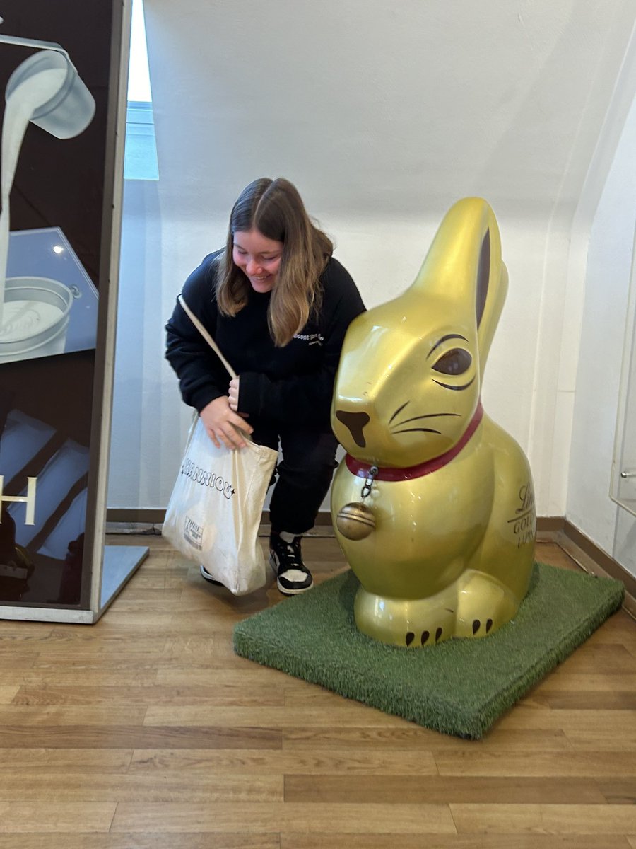 sarah 🦕 tweet media