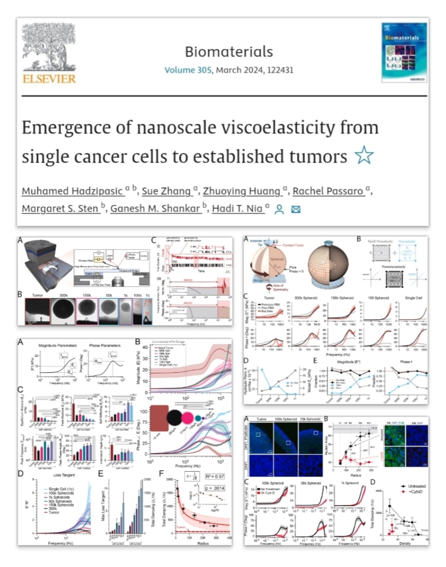 Beyond excited to share this paper exploring cells, spheroids and tumors using atomic force microscopy! And extremely grateful for the opportunity to work w pioneers @MoHadzipasic, @ShankarLabMGH and @Hadi_Nia on this awesome project... Check it out here! rb.gy/ws8crf