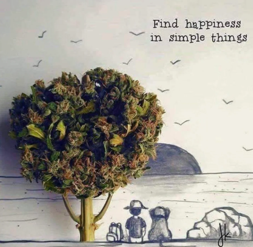 doelgoang's tweet photo. Finding Joy in the Simple Things https://t.co/Nek8ZshfbU