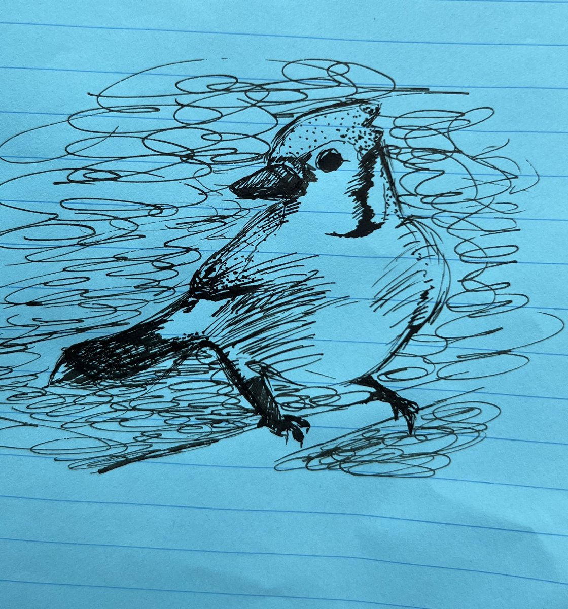 hhhowdytwt's tweet photo. not splatoon-related but recently I’ve just been sketching with my dip pens and ink— thought i could share some of these sketches

#sketches #ink https://t.co/KEK6gUH1Vq