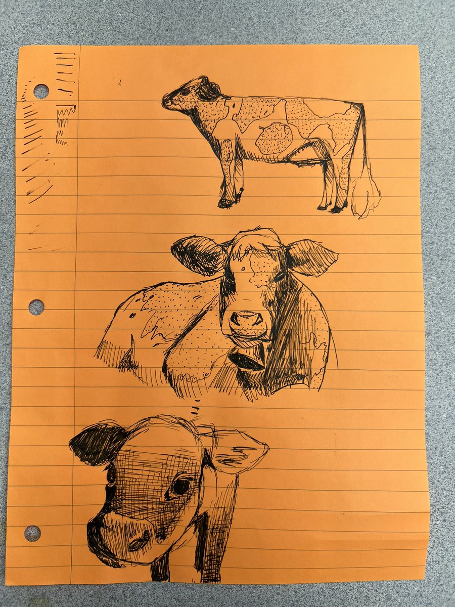 hhhowdytwt's tweet photo. not splatoon-related but recently I’ve just been sketching with my dip pens and ink— thought i could share some of these sketches

#sketches #ink https://t.co/KEK6gUH1Vq