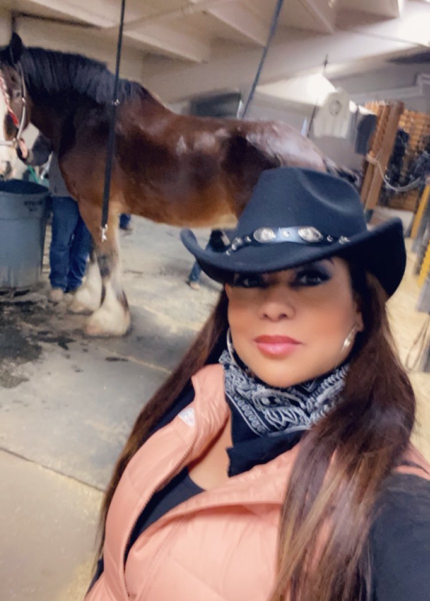 PortiaColorado's tweet photo. Got a chance to speak to the Owner of these magnificent horses! He may be born & bred in Kansas but he shines well in Colorado! Awesome 2024 Black Rodeo & @NationalWestern Stock show! @rmnaacp #BillPicket https://t.co/Heq6iPy40m