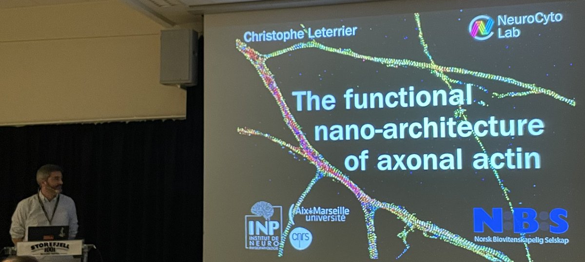 @HenriquesLab @Mayr_Christine @Pawel_Burkhardt @MSarsCentre @UiB @christlet now closing the meeting delving into depth of (normal) neuronal organization at nanoscale. #NBS2024