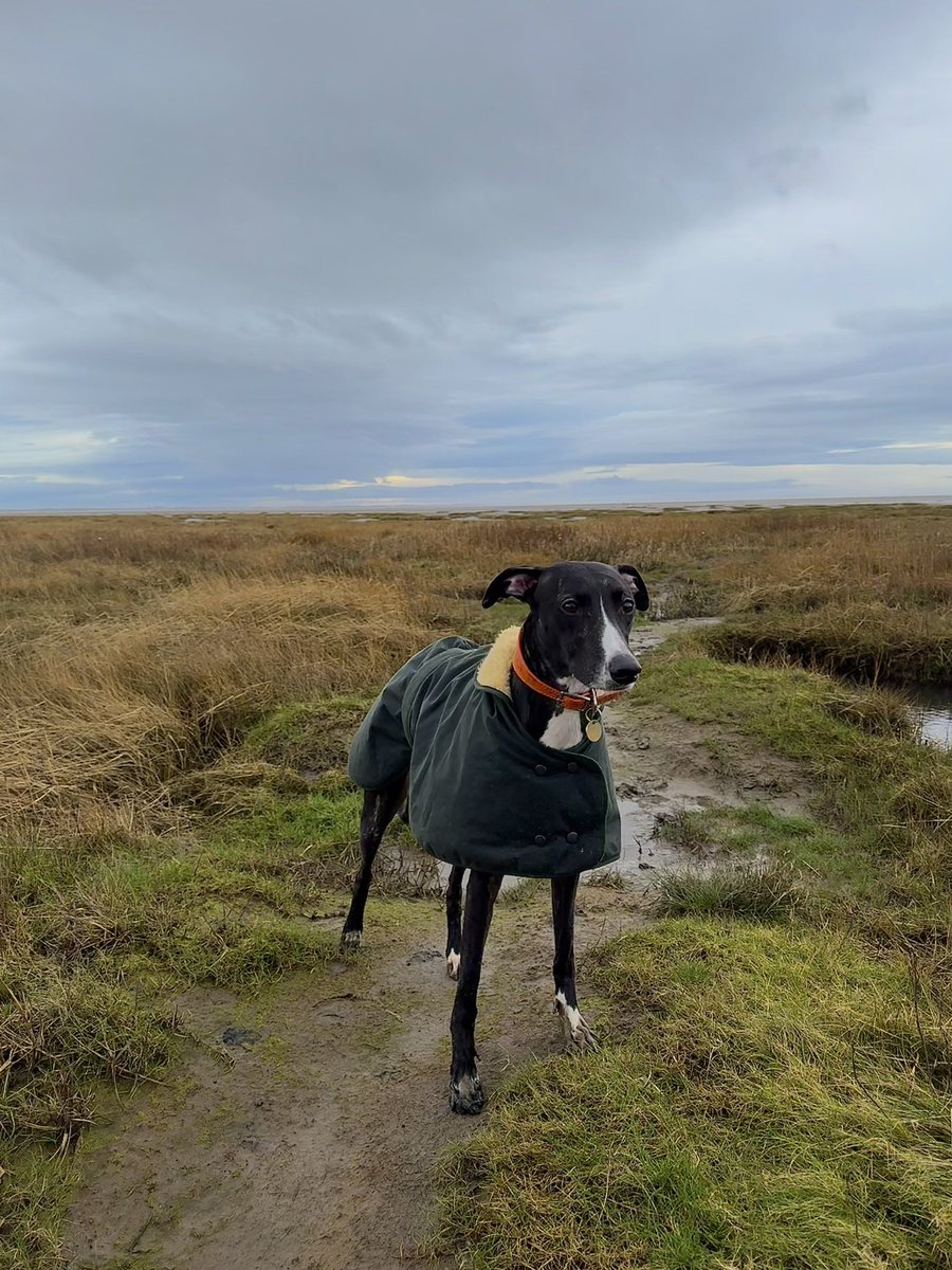 Alex Cottrell tweet media