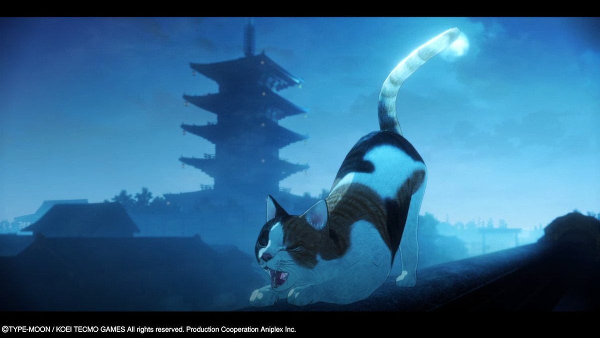 daepicfirestar's tweet photo. cat #NintendoSwitch https://t.co/QIyUqhxdYR