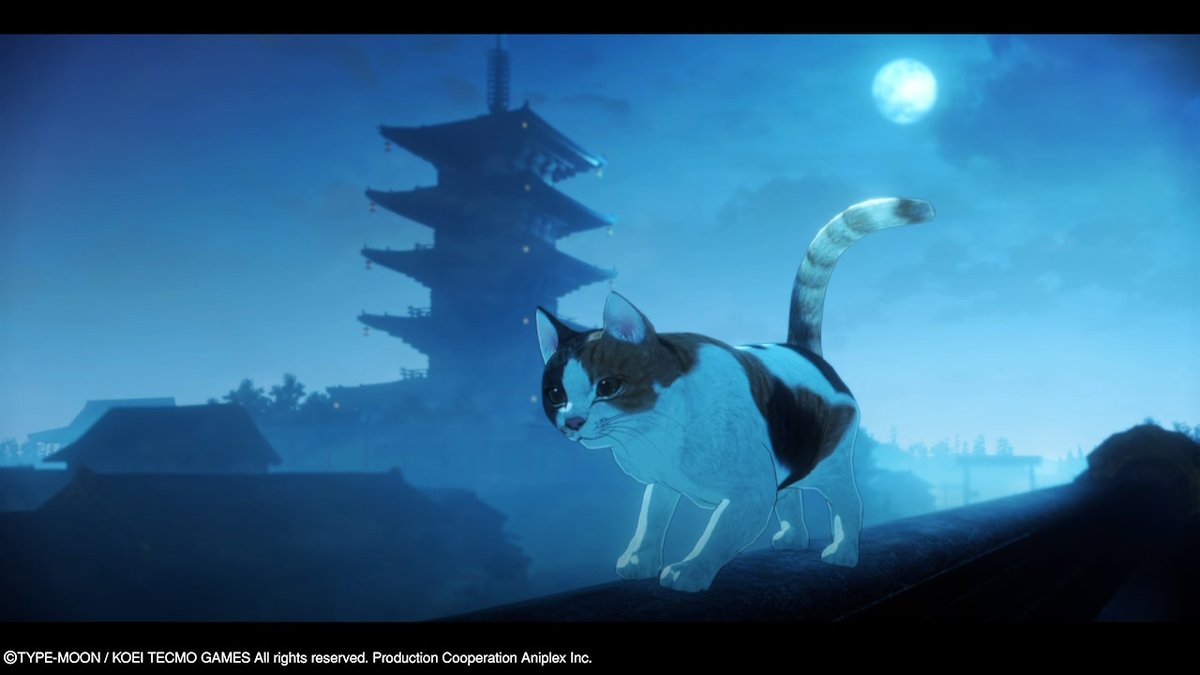 daepicfirestar's tweet photo. cat #NintendoSwitch https://t.co/QIyUqhxdYR