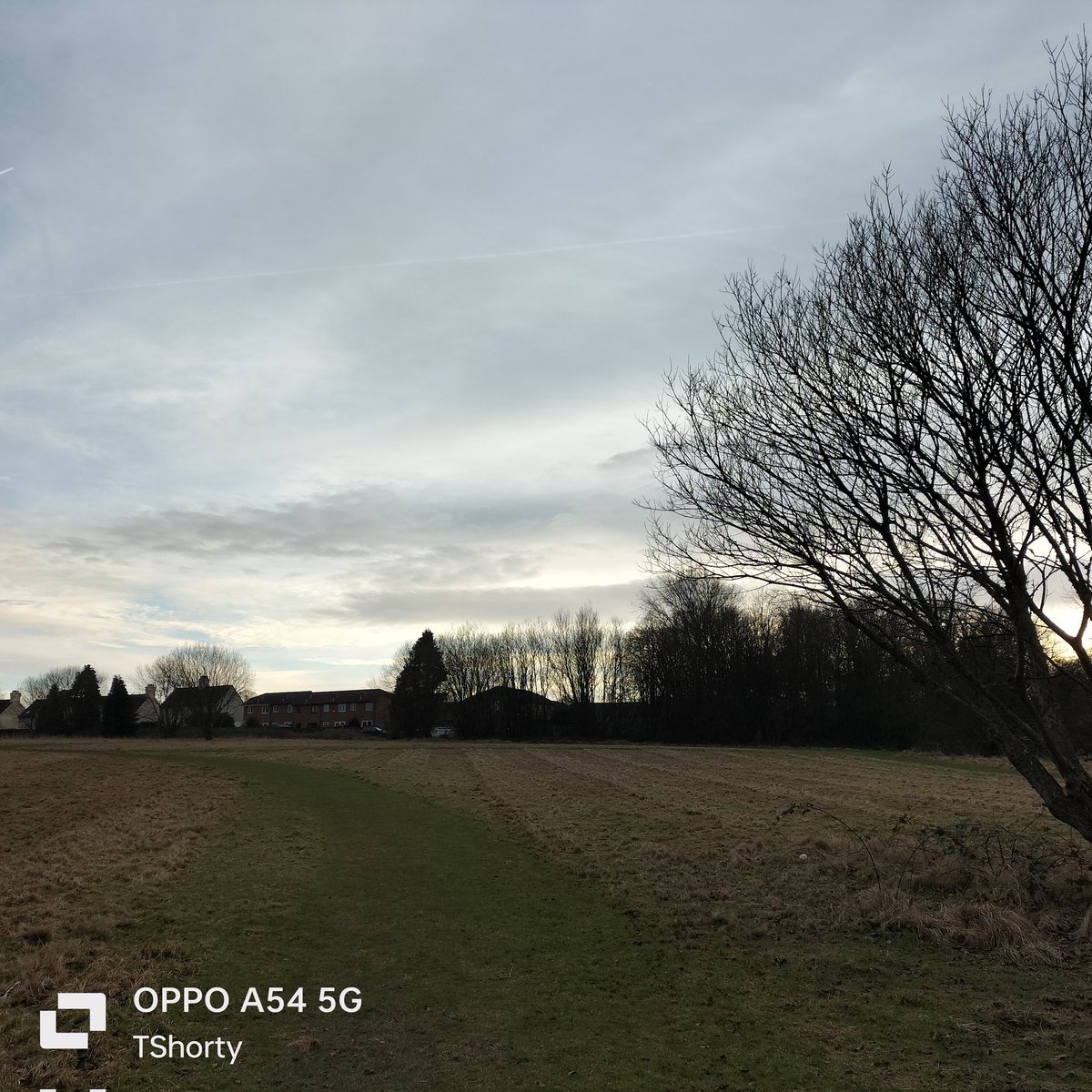 TraceyShorty28's tweet image. I didn&apos;t want to go out for a walk today because I knew how windy and cold it was and im still a bit coldy but I did go out. And did 2 circuits of the field and crematorium. I do feel better for it.  I hope you are all having a good day 😊 #perseveranceisthekey