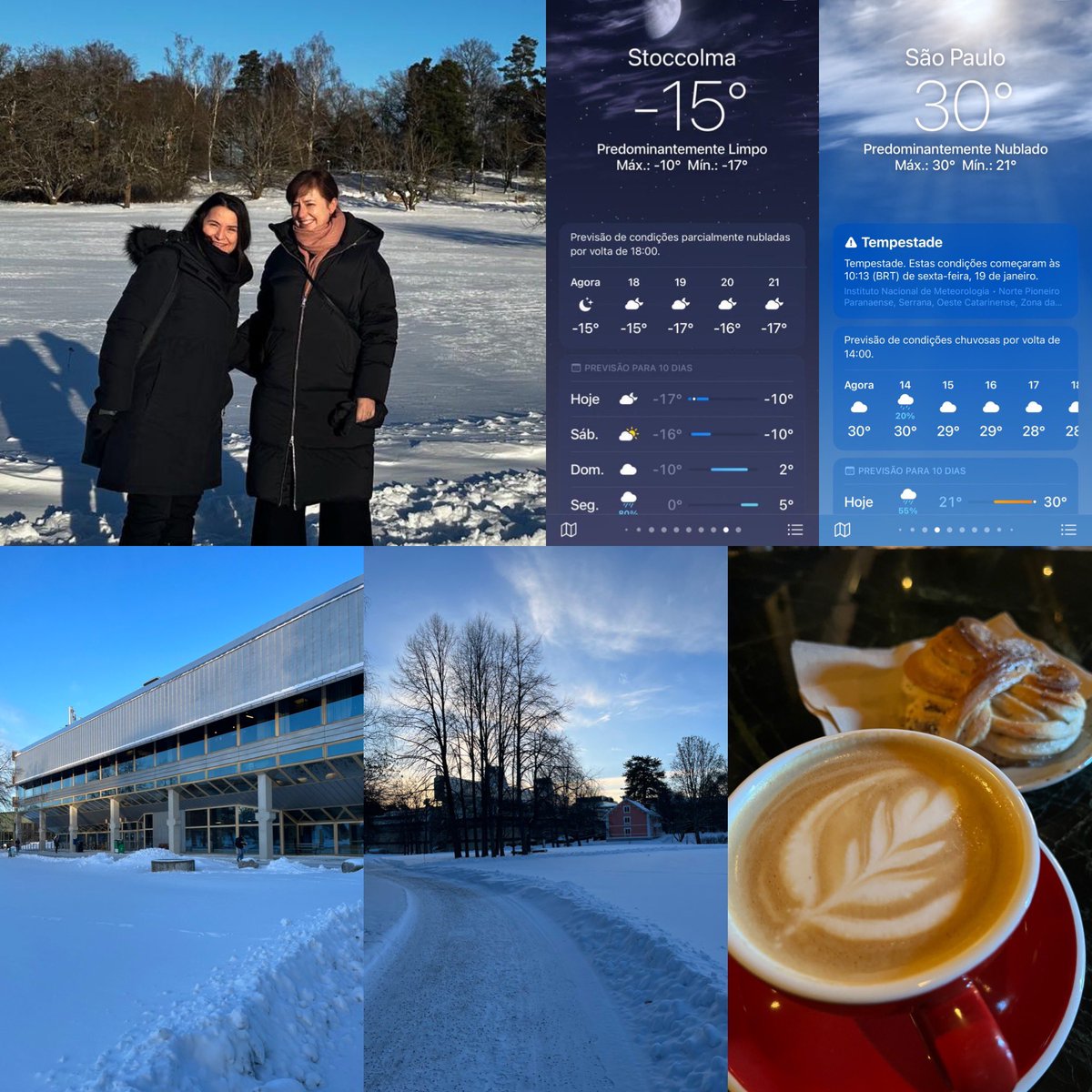 Liane Rossi Group tweet media