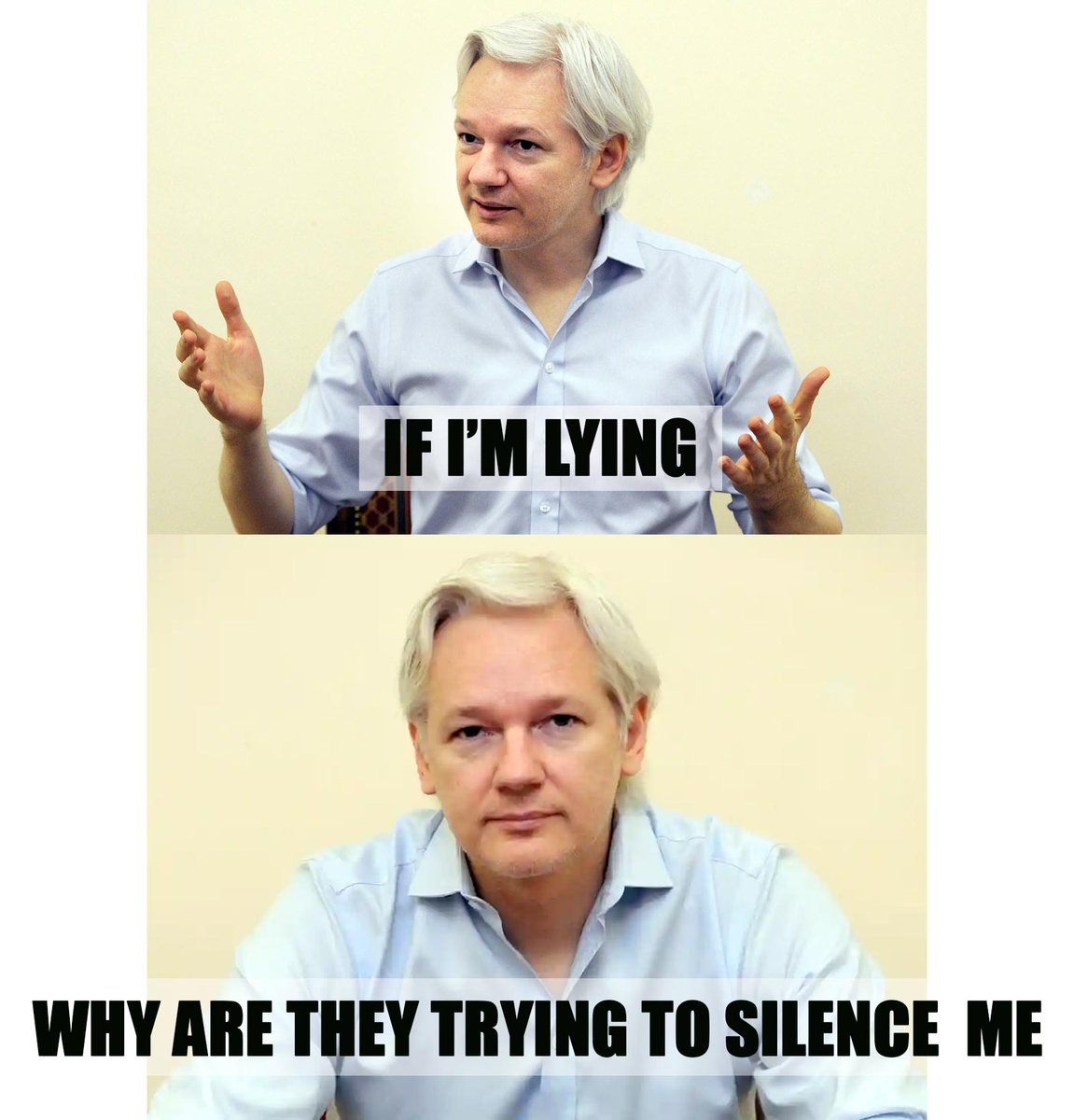 Aus4Assange's tweet photo. https://t.co/22e7Zmgq9e