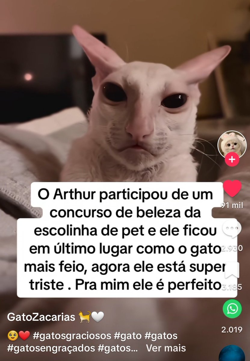 meeelzinho's tweet photo. 💔 https://t.co/jBzQwf44r3